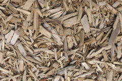 biomass boilers Foodieash